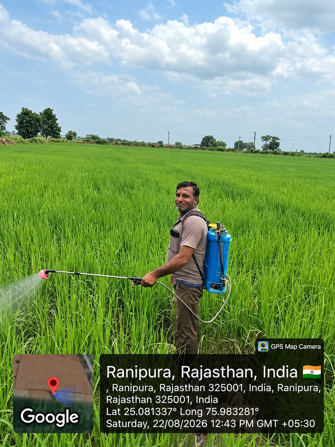 Agricultural workers spraying crops in a field for crop protection.